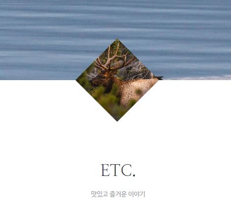 태상의 미니샵 바로가기, 집콕라이프를 즐기는 사람들의 선택